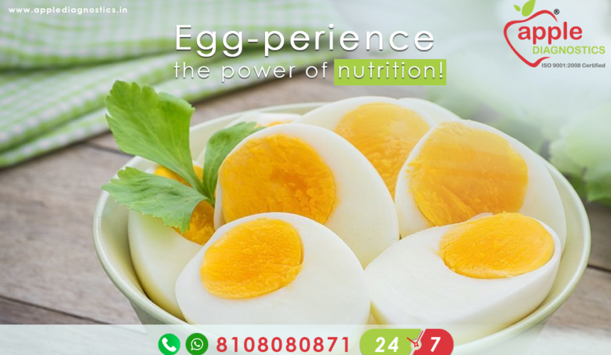 Egg-perience the power of nutrition